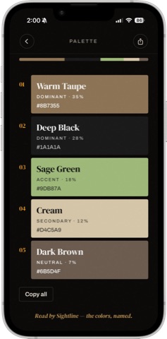 The Palette tool on iPhone